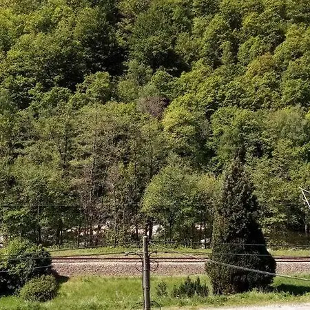 In With Garden 度假居 *