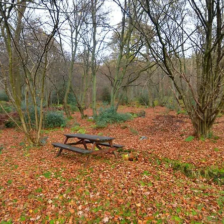 Cozy In With Valley View 펜션 *