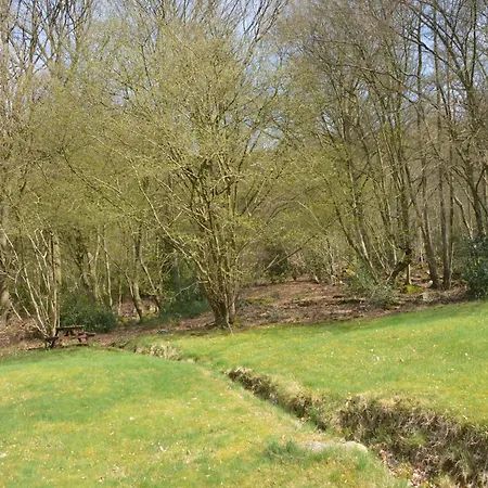 In With Garden Aywaille